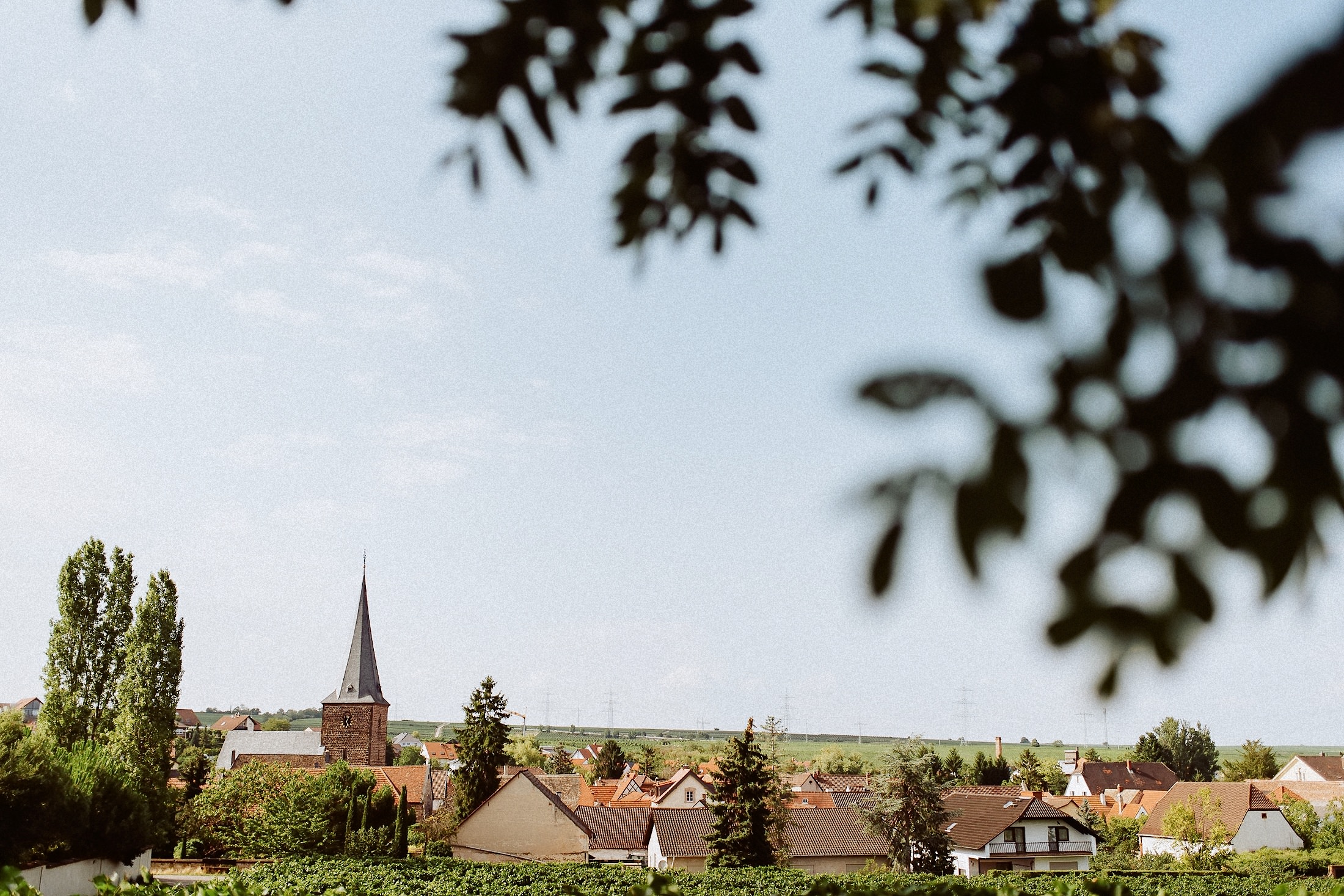 Großkarlbach in der Pfalz bei einer Hochzeit im Morrhof