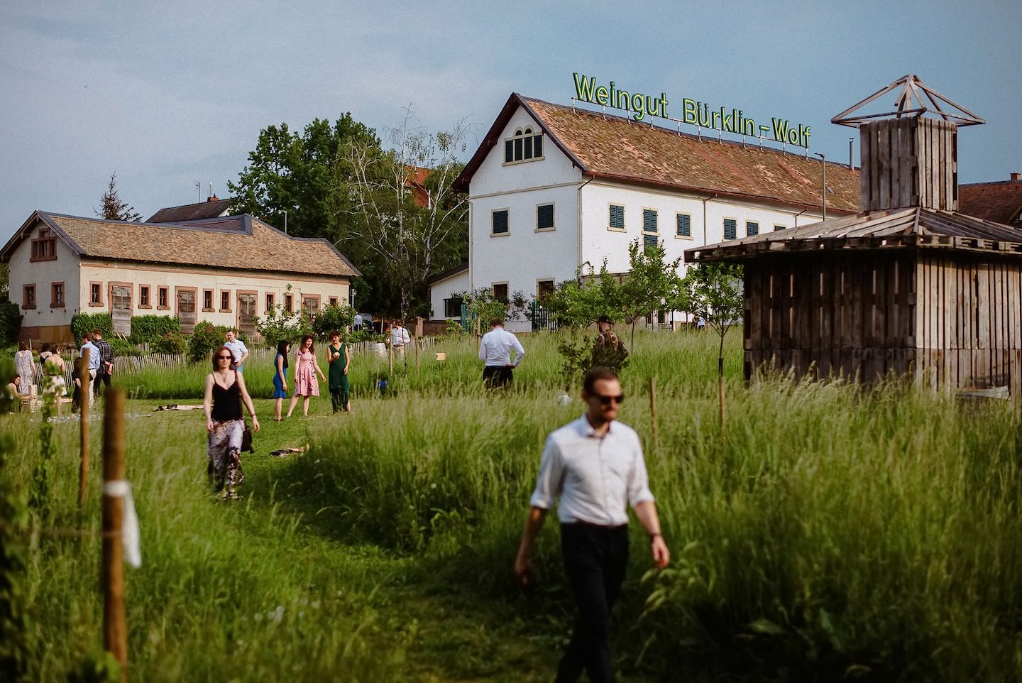 Wiese beim Hofgut Ruppertsberg bei einer Hochzeit