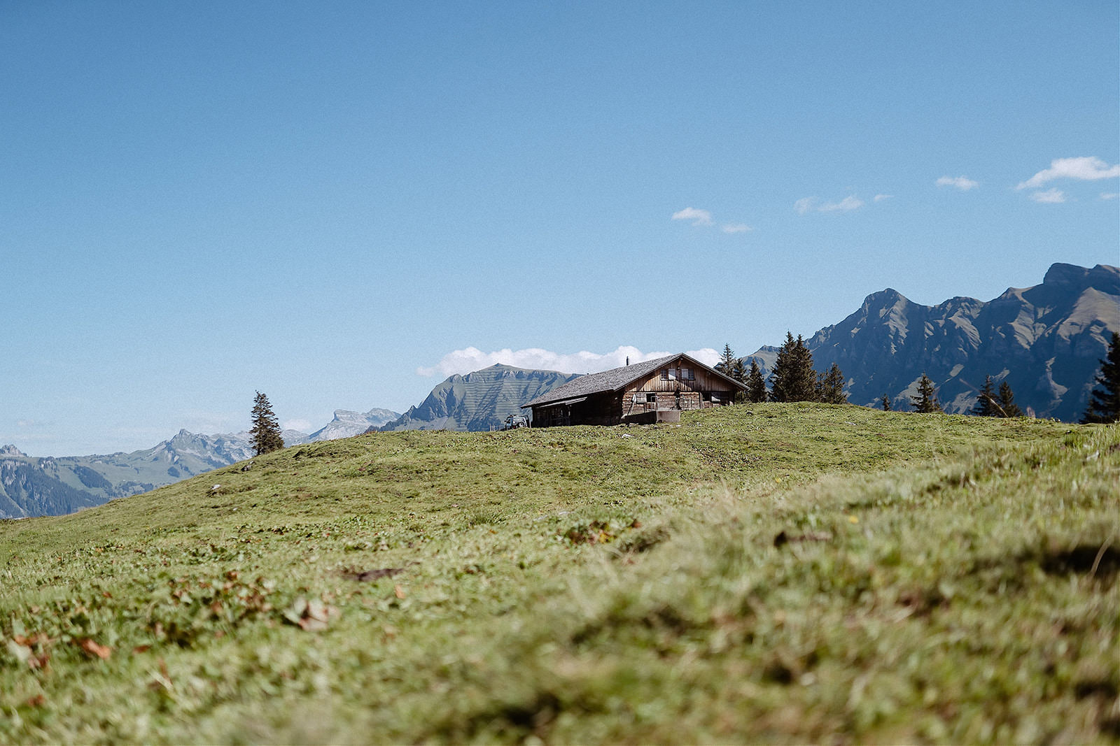 hochzeitsfotos schweiz alm
