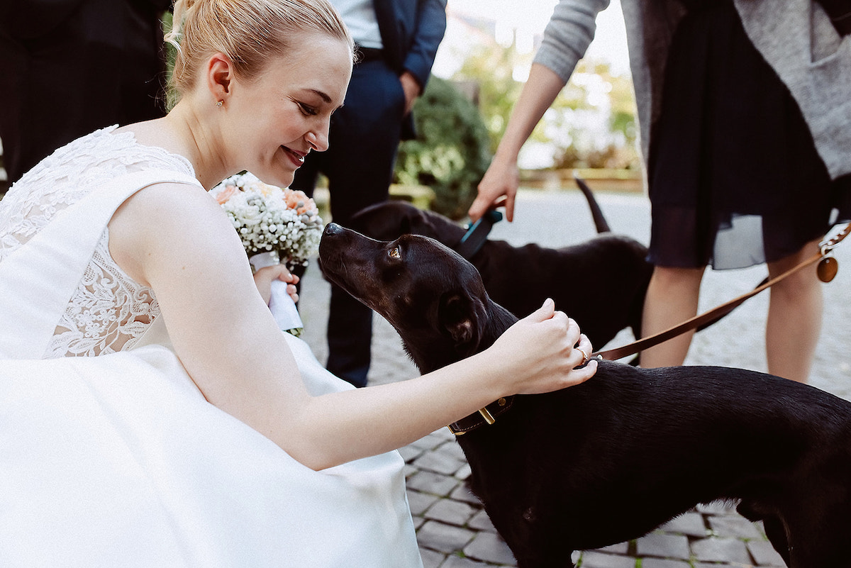 Braut begrüßt ihren Hund im Weingut von Winning