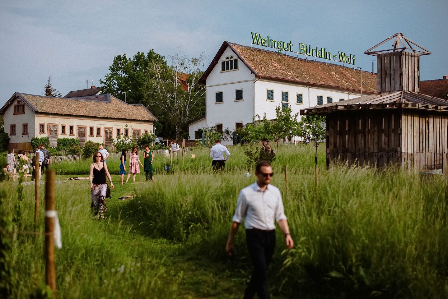 Weingut Bürklin-Wolf Hofgut-Ensemble von oben, Hochzeitsgäste spazieren über Feld.