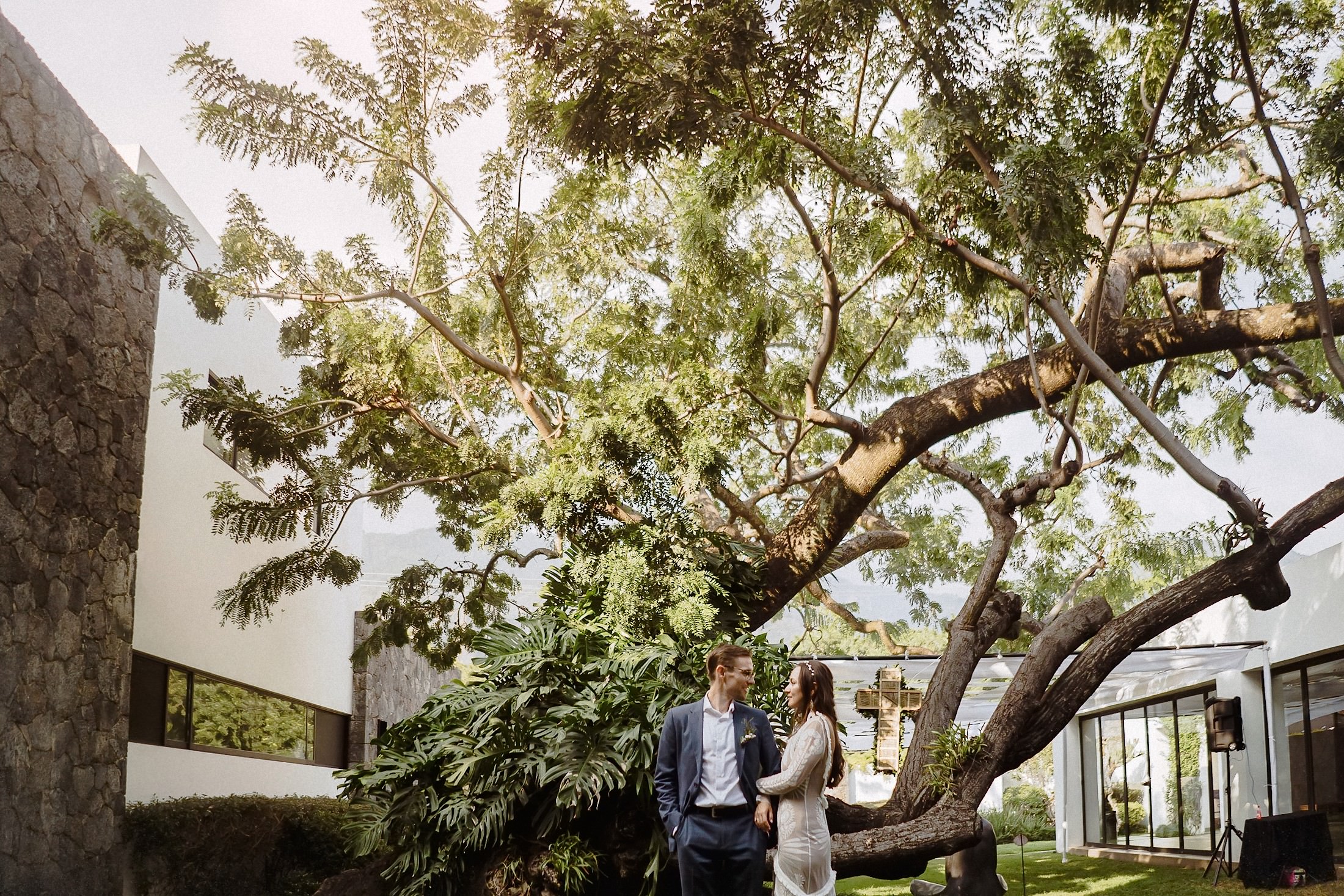 Braut und Bräutigam spazieren Hand in Hand unter einem großen alten Baum