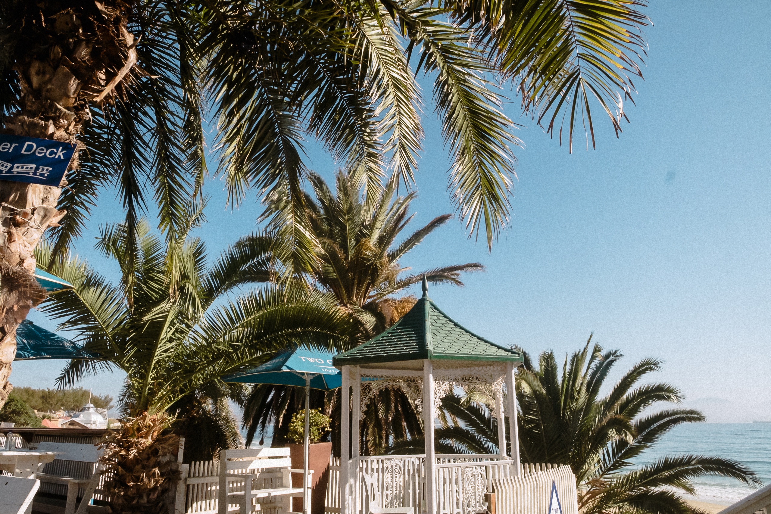 Palmen und ein Pavillon am Strand von Mossel Bay am Tag vor der Hochzeit