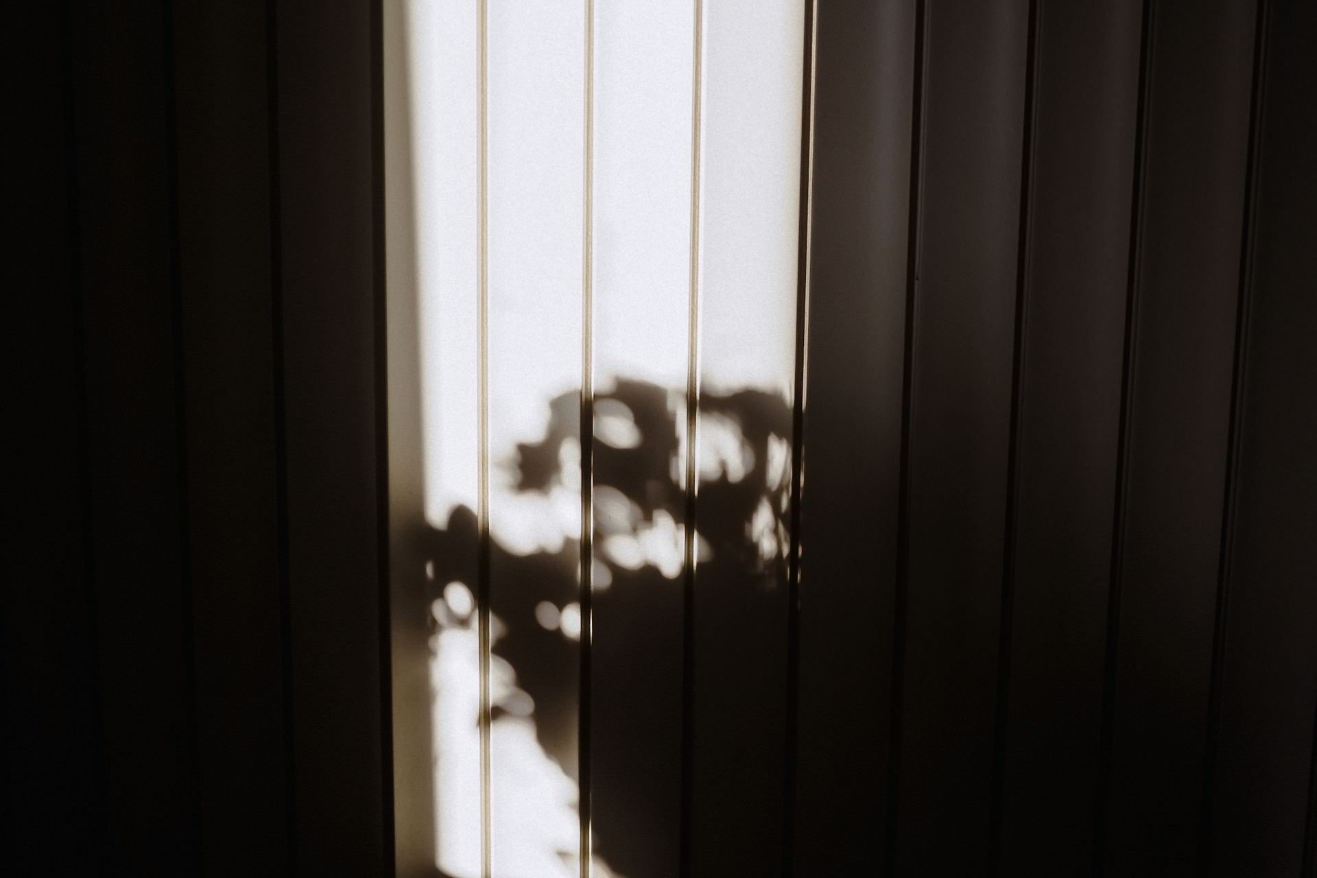Dramatisches Licht- und Schattenspiel auf den Fensterscheiben während des Hochzeitsfests.