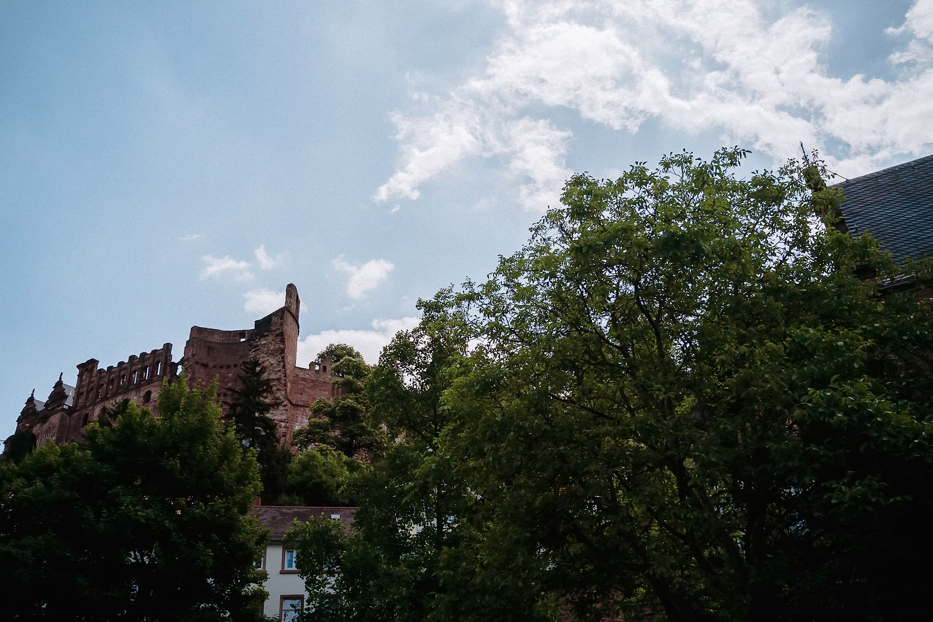 Heidelberger Schloss von Altstadt aus fotografiert, rotes Mauerwerk und Grün.