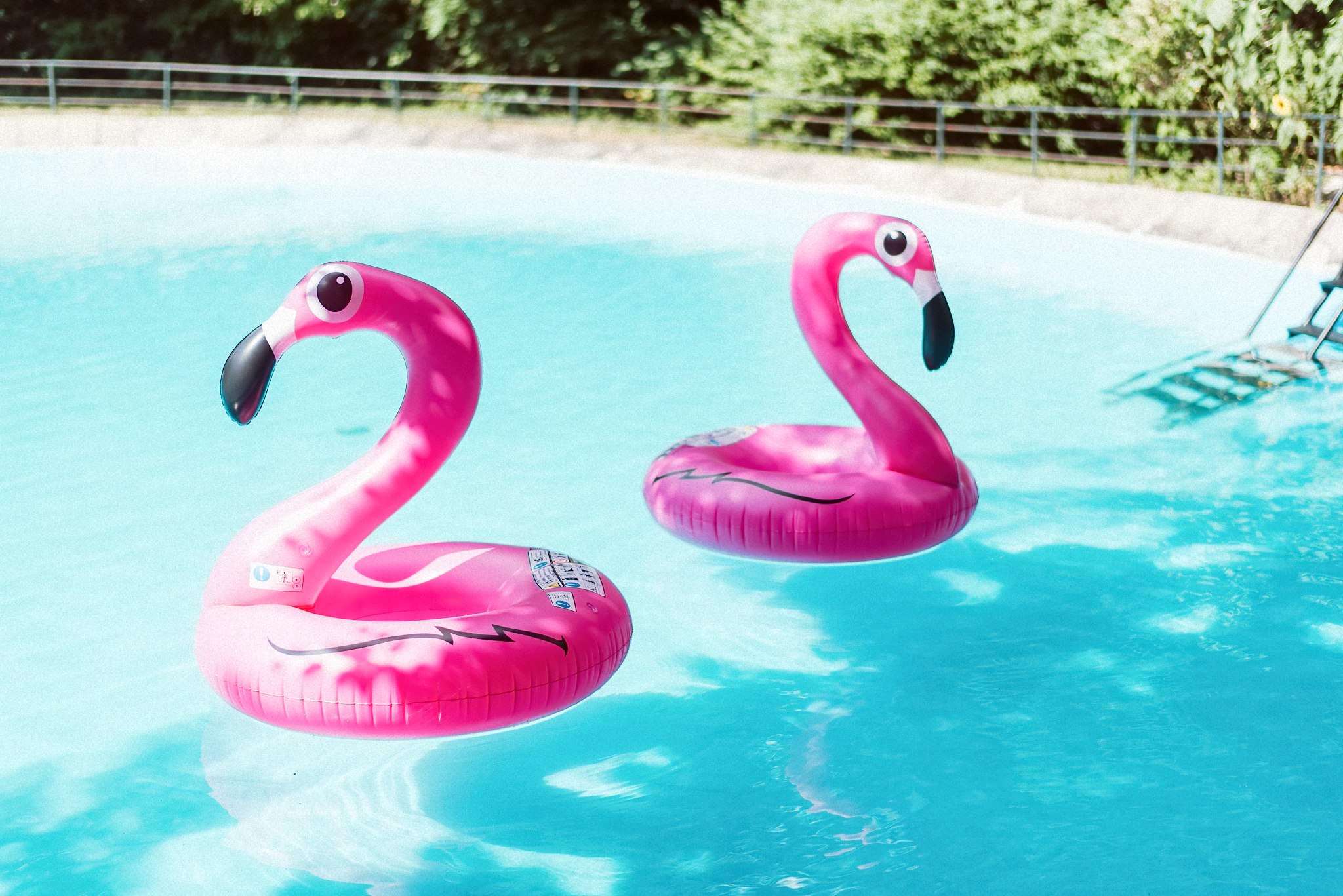 Eine Nahaufnahme zeigt zwei rosa Flamingo-Schwimmringe im blauen Pool.